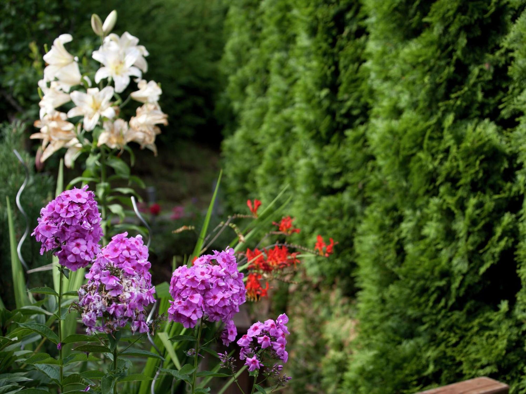 In Salzburger Land With Balcony * Wagrain